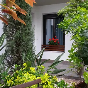 Apartamentos Patio De Viana Кордова